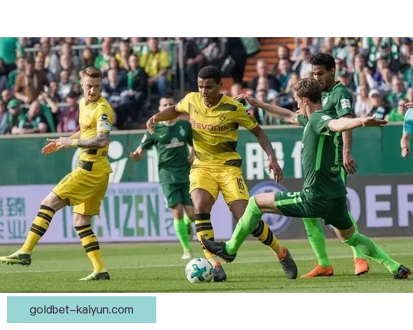 法兰克福节奏塑造胜利：球队在联赛中状态回暖，稳步前行