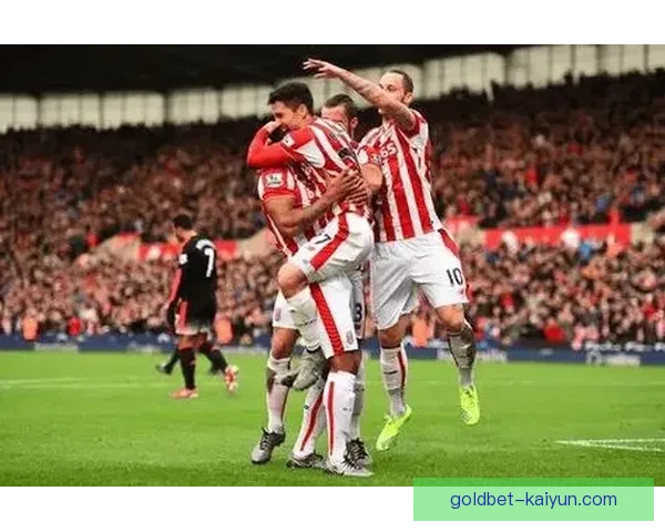 斯托克城伤病危机加剧，球队状态面临严峻考验